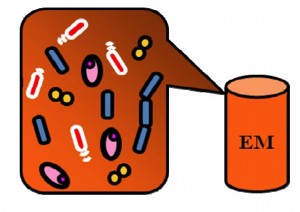 EM-2